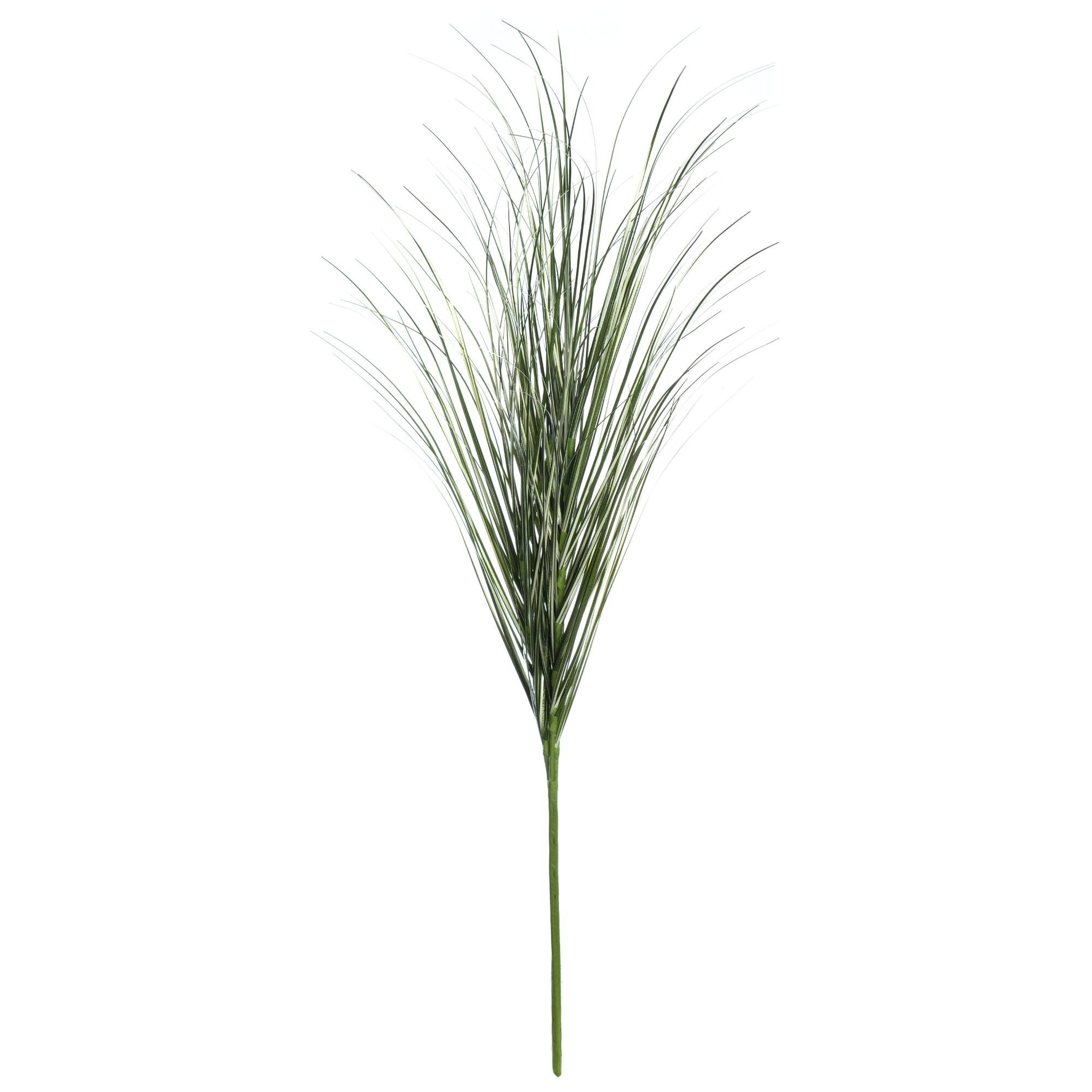 Tall Green Grass Stem by Ashland®